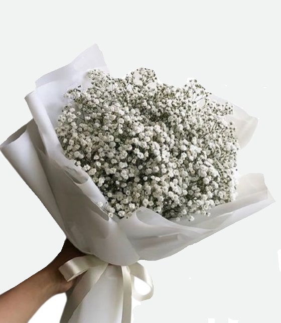 Gypsophila Buketi