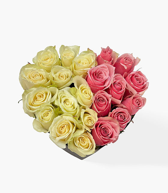 Siyah Kalp Kutuda Pembe Ve Beyaz Güller