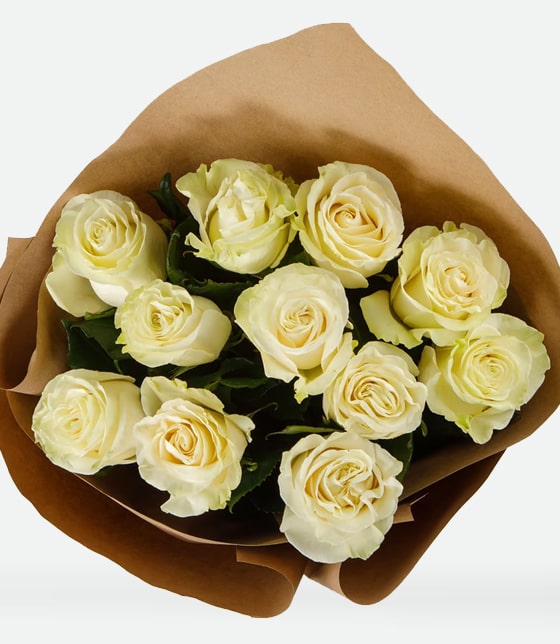 11 White Roses